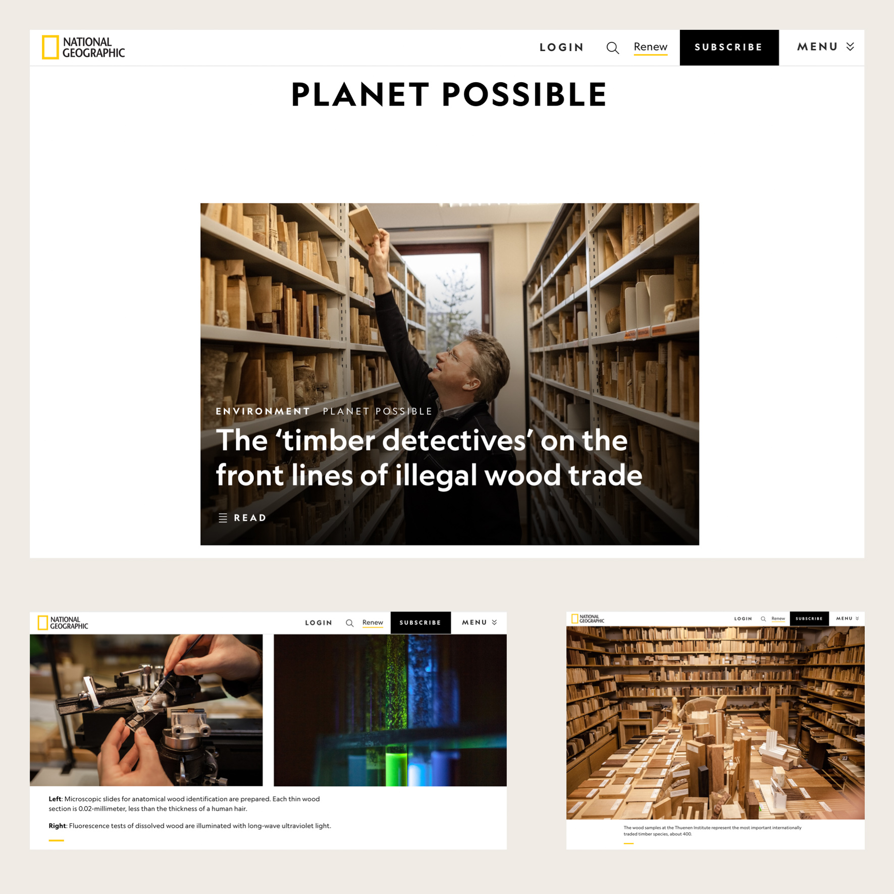 The Timber Detectives on National Geographic